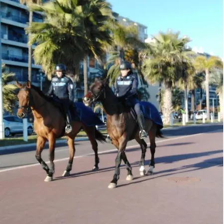 Apartment Magnifique Centre-ville Nice